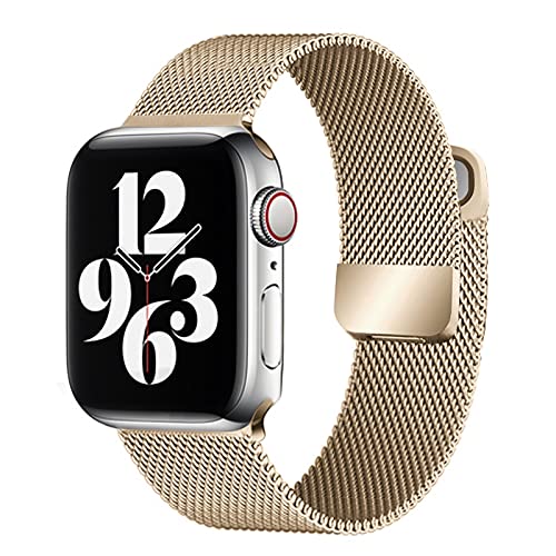 Milanese Apple Watch Strap