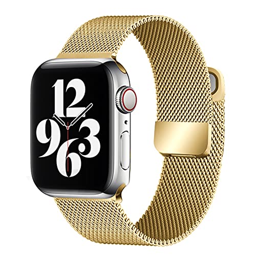 Milanese Apple Watch Strap