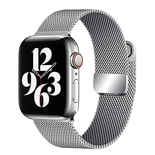 Milanese Apple Watch Strap